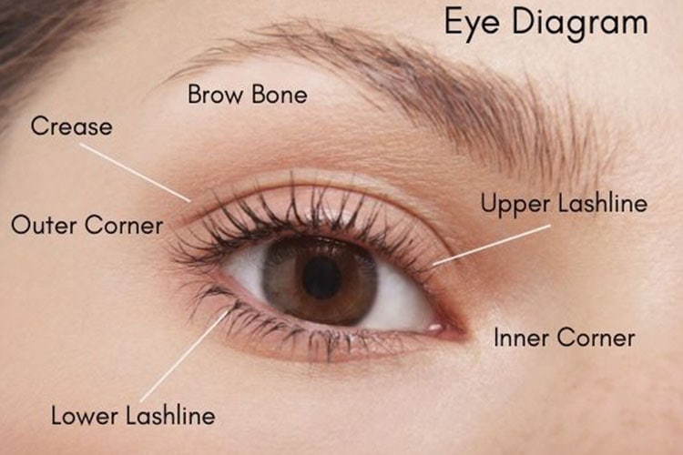 اصول اولیه آرایش چشم