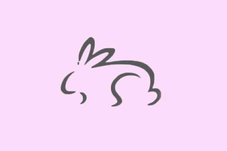 نماد خرگوش روی لوازم آرایشی