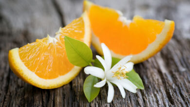 • خواص بهار نارنج و دمنوش آن برای بدن، پوست و مو