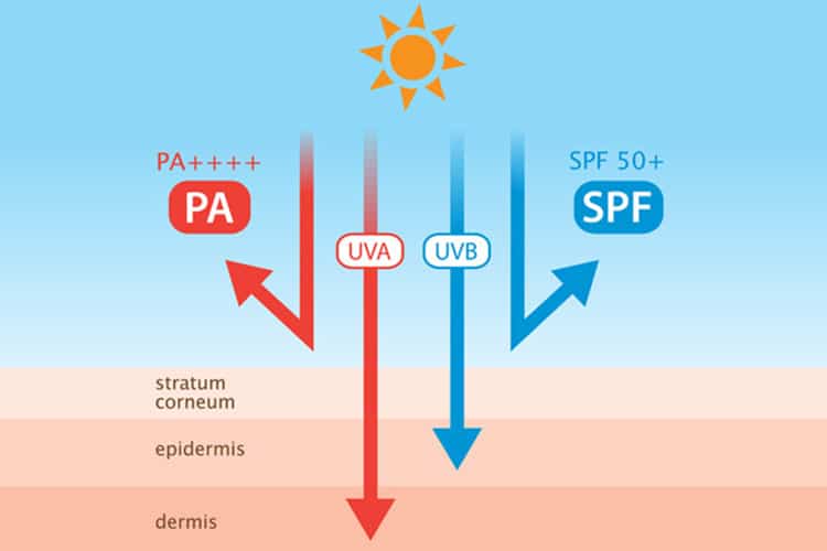 تفاوت SPF و طیف گسترده (PA)